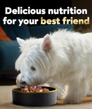 Cesar Home Delights Adult Wet Dog Food, Slow Cooked Chicken & Vegetables Dinner and Beef Stew Variety Pack, 3.5 oz. (12 Count, Pack of 2)