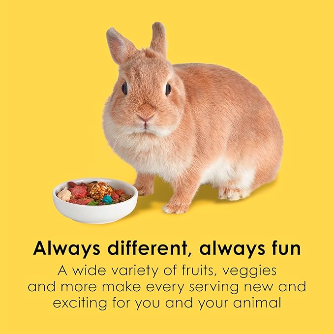 Kaytee Fiesta Rabbit Food, Nutritious and Fun Blend, Supports Dental Health and Digestion, 6.5 pounds