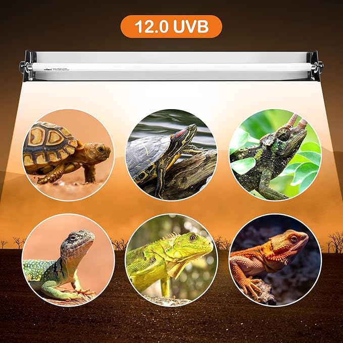 Oiibo T5 UVB Reptile Lighting Combo Kit, Reptile Light Fixture with Desert 12.0 UVB Bulb High Output T5 HO UVB Reptile Light with Detachable Curved Reflector(24W)
