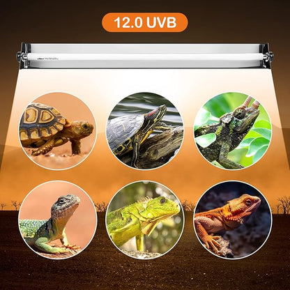 Oiibo T5 UVB Reptile Lighting Combo Kit, Reptile Light Fixture with Desert 12.0 UVB Bulb High Output T5 HO UVB Reptile Light with Detachable Curved Reflector(24W)