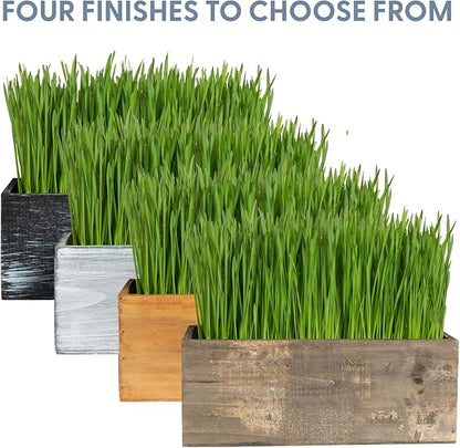 The Cat Ladies Cat Grass Kit Complete with Rustic Wood Planter, Organic Seed and Soil. Easy to Grow - Great for Indoor or Outdoor Cat, Dogs and Other Pets. Prevent Hairballs and Aid Digestion…