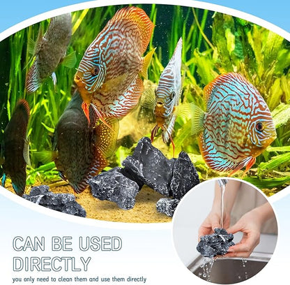 2.5lb Natural Seiryu Stones, Aquarium Rocks Decoration Aquascaping Stone Landscaping Model for Fish Tank Decor Terrariums Paludariums Reptile Enclosures Gardens, 2-6 inches