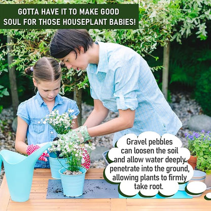 5 LB GreyMixed Pea Gravel, Natural Succulent and Cactus Gravel Pebbles, Pebbles for Indoor Plants, Natural Gardens Mulching, for Houseplants, for Aquarium Gravel, to Maintain Soil Aeration(4-6mm)