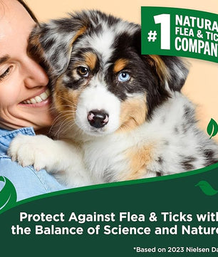 Vet’s Best Flea and Tick Home Spray – Plant-Based Flea and Tick Treatment for Dogs and Indoor Use – Natural Spray with Essential Oils for Flea Control in Home – 32 oz Bottles, 2 Pack