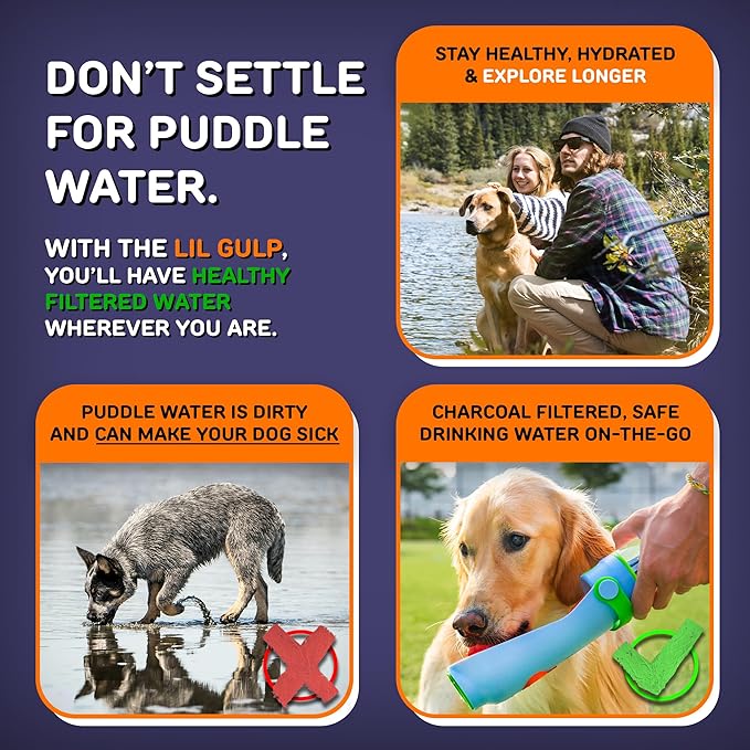 Lil Gulp Dog Water Bottle | Advanced Carbon Filtration for Safe Filtered Water on The Go | BPA-Free Leak-Proof Portable Dog Travel Water Bottle with Retractable Water Spout 15 Fl oz - Cotton Candy