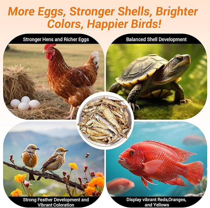 Dried Freshwater Fish, 1 Lbs Resealable Bag - Natural High-Protein Food for Turtles, Reptiles, Large Tropical Fish, Cats, Small Pets and Chicken - Crude Protein 30% Min