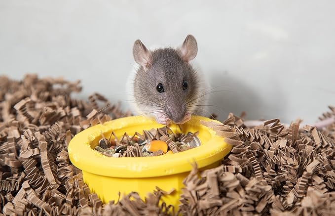 ECO BEDDING 99% Dust Free Paper Bedding for Small Pets and Birds, Eco Natural, 3 lb (Expands to 60 L)