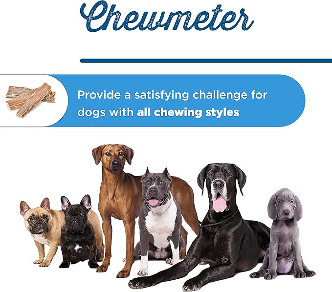 Best Bully Sticks 12 Inch Beef Jerky for Dogs - 12 Count (Pack of 1) - All-Natural, High-Protein Gullet, Rawhide Free, Chewy Treat