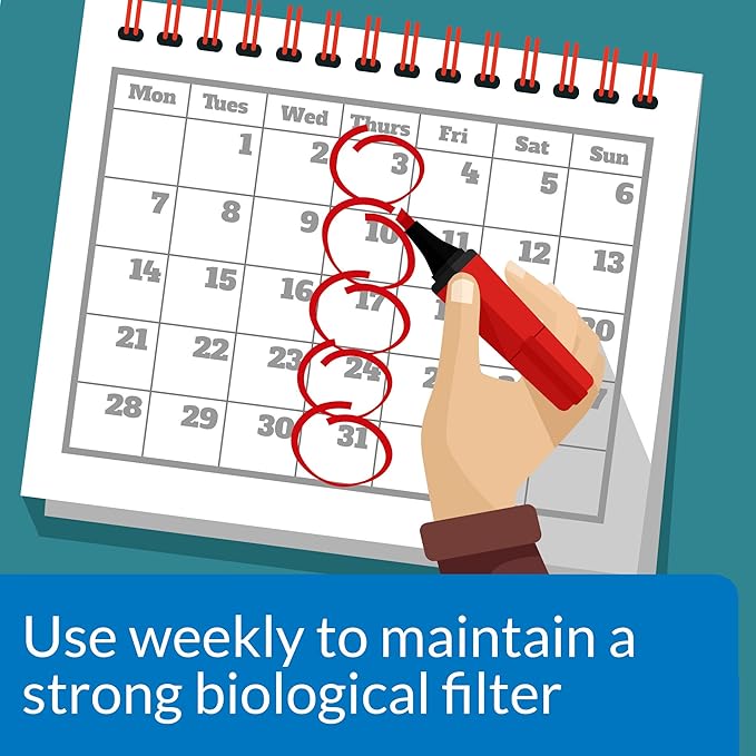 API STRESS ZYME Freshwater and Saltwater Aquarium Cleaning Solution 16-Ounce Bottle