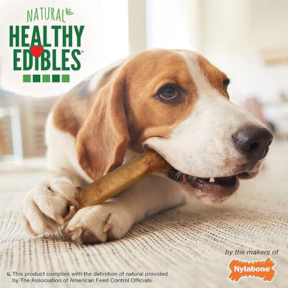 Nylabone Healthy Edibles Natural Dog Chews Long Lasting Bacon Flavor Treats for Dogs, Medium/Wolf (7 Count)