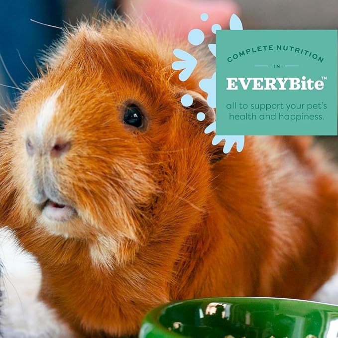 Oxbow Essentials Young Guinea Pig Food, Guinea Pig Pellets Made with Timothy Hay, Stabilized Vitamin C, Small Animal Pet Products, Small Animal Food Made in USA, High Fiber, 10 lb. Bag