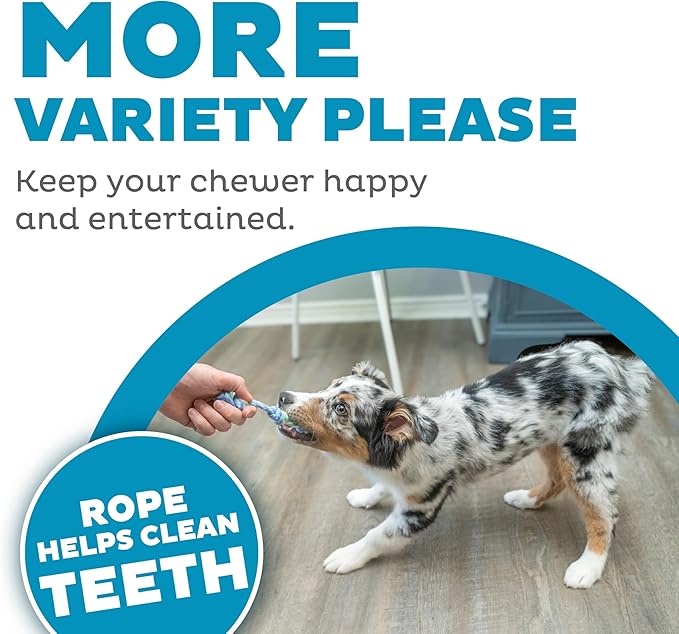 Outward Hound Mini Dentachew Dental Dog Chew Toy - 3 Pack - Great Size for Small Dogs and Puppies