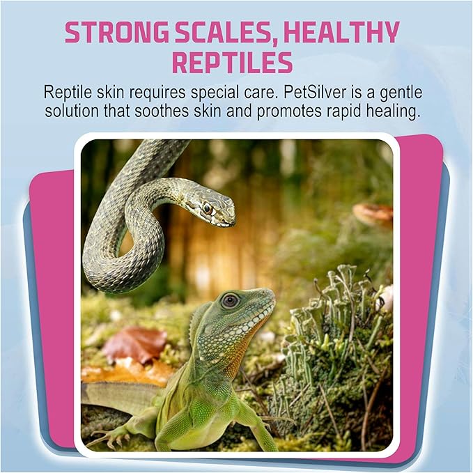 PetSilver Reptile Wound Spray with Chelated Silver – Reptile Wound Care for Snakes, Lizards, Geckos – Burns, Sores, Irritations & Scale Rot Treatment – Non-Toxic & Safe – Made in USA – 2 fl oz