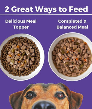 KOHA Memphis BBQ Stew for Dogs with Chicken and Pork, High Protein Wet Dog Food, 12.7oz Cans (Case of 12)