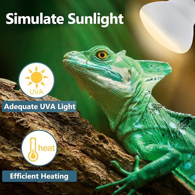 LUCKY HERP Heat Lamp Bulbs - 150W Reptile Heat Lamp 2 Pack, Daylight Basking Heat Lamp Bulbs for Reptile, UVA Heat Light Bulb for Reptiles, Amphibians, Bearded Dragons, Lizards, Turtles, Chickens