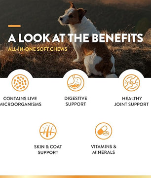 NaturVet All-in-One Dog Supplement - for Joint Support, Digestion, Skin, Coat Care – Dog Multivitamins with Minerals, Omega-3, 6, 9 – Wheat-Free Vitamins for Dogs – 120 Soft Chews