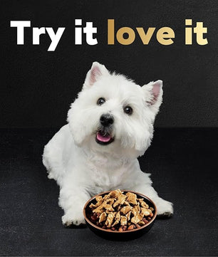 Cesar Filets in Gravy Wet Dog Food Wood-Grilled Chicken Flavor, 1.76 oz. Mini-Pouch (20 Count, Pack of 1)