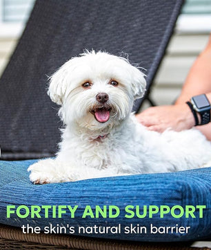 Nutramax Dermaquin Skin Support Supplement for Small to Medium Dogs and Cats, Supports Healthy Response to Allergens, with Hardy Kiwi, Omega-3s, and More, Tasty Soft Chews, 60 Count