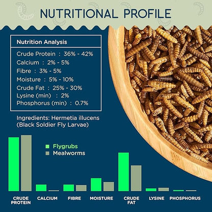 FLYGRUBS 20 lb Dried Black Soldier Fly Larvae – Superior to Mealworms for Chickens–85X More Calcium,Non-GMO,High-Protein Feed & Molting Supplement for Hens, Ducks, Turkeys, Wild Birds, Quails, Turtles