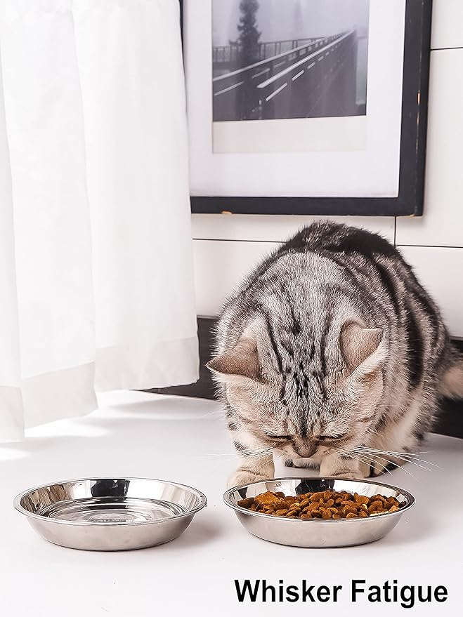 VENTION Small Shallow Cat Food Bowls, Outer Dia. 4.9 in Whisker Fatigue Cat Bowl, Stainless Steel Cat Food Dish for Indoor Cats, Set of 6 Replacement Cat Bowls for Raised Station(7.4 Fl.oz)