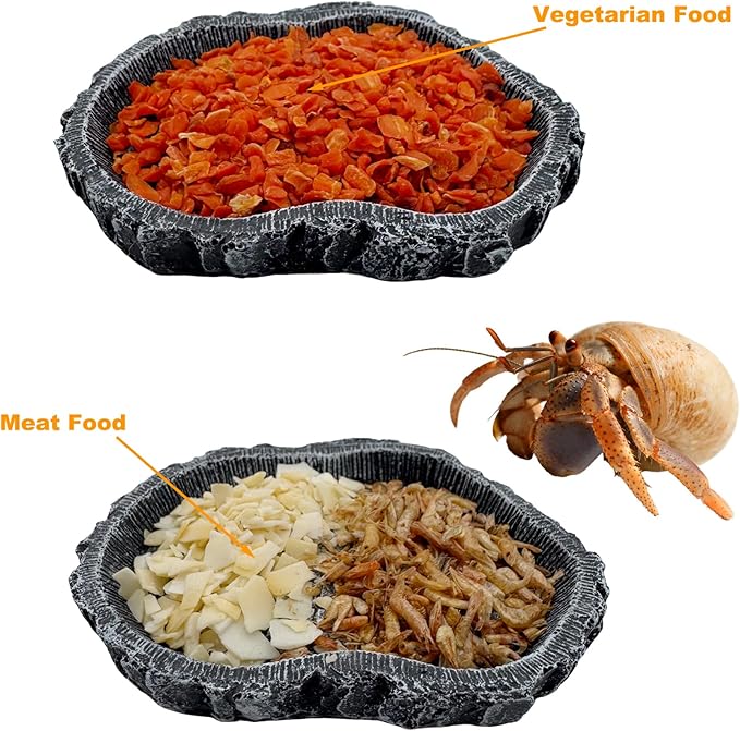 2 Pack Shallow Reptile Food Bowls, Reptile Feeding Terrarium Bowls for Bearded Dragon Lizard Frog Gecko Tortoise Hermit Crab Snail (Black)