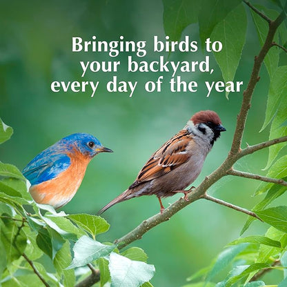 C&S Mealworm Delight No Melt Suet Dough, Suet Cakes for Wild Birds, 11.75 Ounces, Pack of 8