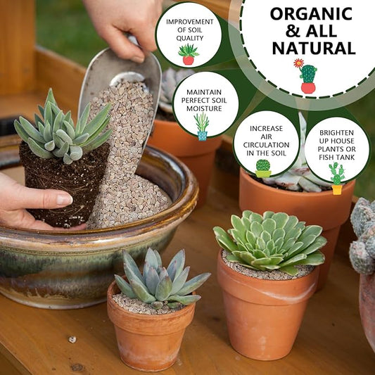 2 LBS Yellow Pea Gravel, Natural Succulent and Cactus Gravel Pebbles, Pebbles for Indoor Plants, Natural Gardens Mulching, for Houseplants, for Aquarium Gravel, to Maintain Soil Aeration(4-6mm)