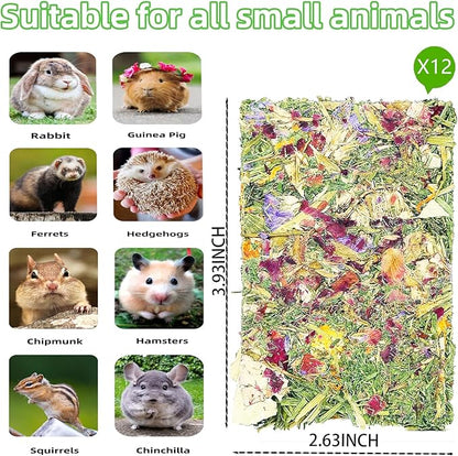 Rabbit Toys 20pcs 2 IN 1 Bunny Crisp Treat Guinea Pig Chew Snack for Cleaning Teeth Enrichment Timothy Hay Chips Hamsters Molar Food For Chinchilla Gerbil Rat Indoor Dental Care Boredom (8+12)