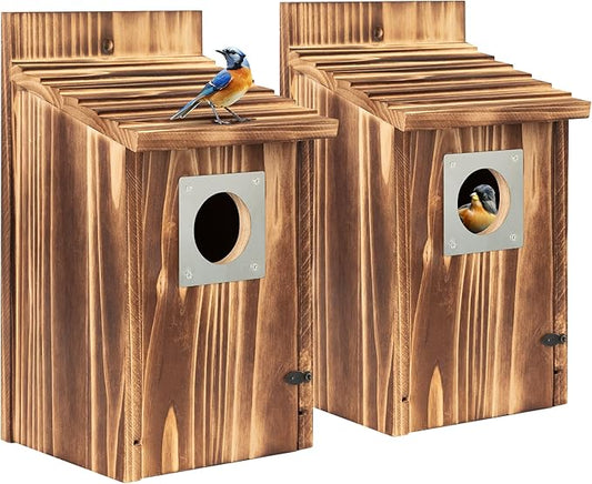 2 Pack Bird Houses for Outside with Metal Predator Guard for Bluebird Wren Swallow Finch, Carbonized Wooden Nesting Boxes for Outdoor, Sturdy Bird House,Easy to Clean