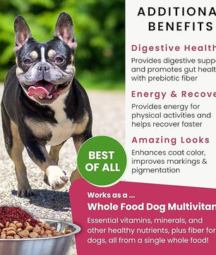 Olewo Original Red Beets for Dogs – Natural Dog Anti Itch, Dog Food Topper, Skin & Coat Support – Dehydrated Vegetables for Dogs, Dog Supplements & Vitamins, Toppers for Dogs, Fiber for Dogs, 5.5 lbs