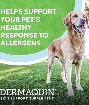 Nutramax Dermaquin Skin Support Supplement for Large Dogs, Supports Healthy Response to Allergens, with Hardy Kiwi, Omega-3s, and More, Tasty Soft Chews, 60 Count