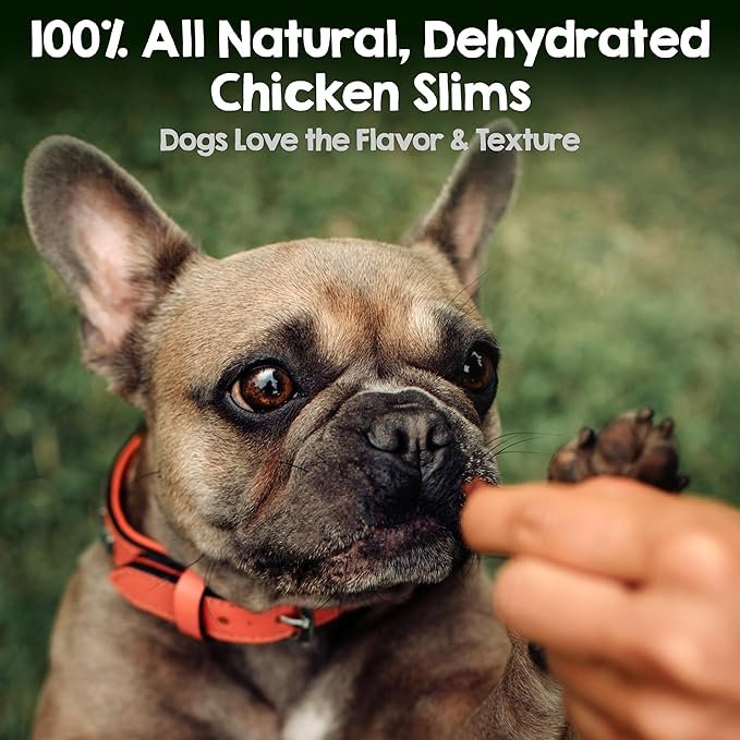 Riley's Chicken Sticks for Dogs - Natural USA Sourced Single Ingredient Dehydrated Real Meat Chicken Slims Jerky Treats, Made in The USA - 6 oz