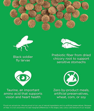 Go! Solutions Sensitivities Limited Ingredients, Grain-Free Dry Dog Food, Insect Recipe for Sensitive Stomach, 3.5 lb Bag