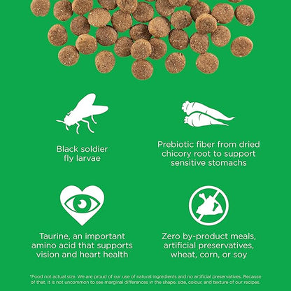 Go! Solutions Sensitivities Limited Ingredients, Grain-Free Dry Dog Food, Insect Recipe for Sensitive Stomach, 12 lb Bag