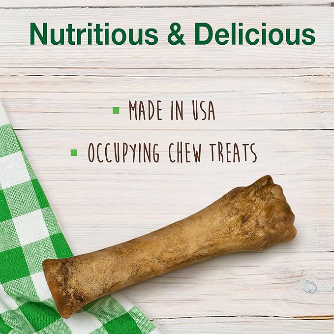 Nylabone Healthy Edibles Natural Dog Chews Long Lasting Bacon Flavor Treats for Dogs, X-Large/Souper (1 Count)