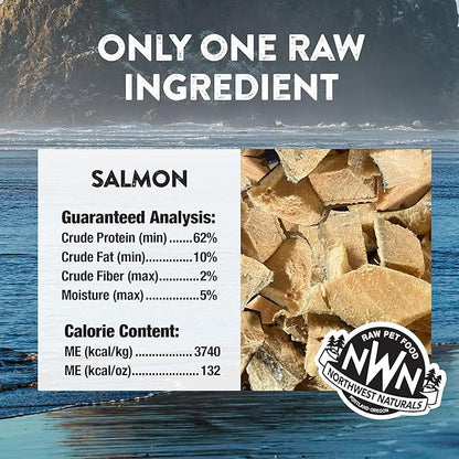 Northwest Naturals Raw Rewards Freeze-Dried Salmon Treats for Dogs and Cats - Bite-Sized Pieces - Healthy, 1 Ingredient, Human Grade Pet Food, All Natural, Proudly Made in USA, 2.5 Oz