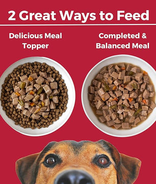 KOHA Lone Star Brisket Stew for Dogs with Beef, High Protein Wet Dog Food, 12.7oz Cans (Case of 12)