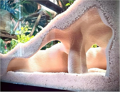 Aquarium & Terrarium Corner Cave – Faux Mangrove Root Hideout for Fish, Shrimp, Geckos, Snakes – Natural-Look Reptile Tank Decor in Textured Root Style (Desert Tan (Sand), 7.5''x7.5''x4'')