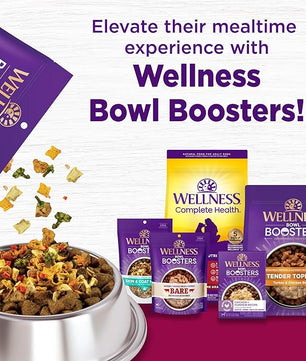 Wellness Complete Health Dry Dog Food, Small Breed, Grain Free, Natural, Turkey, Chicken, & Salmon Recipe (11-Pound Bag)
