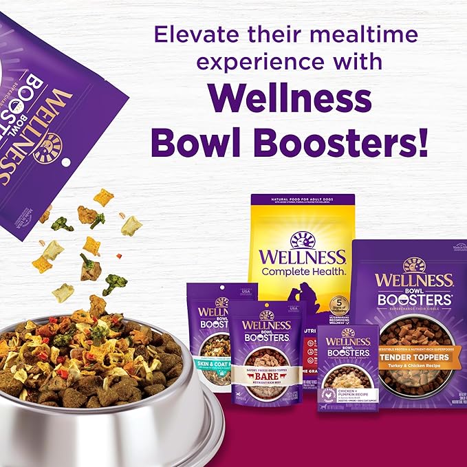 Wellness Complete Health Dry Dog Food, Small Breed, Grain Free, Natural, Turkey, Chicken, & Salmon Recipe (11-Pound Bag)