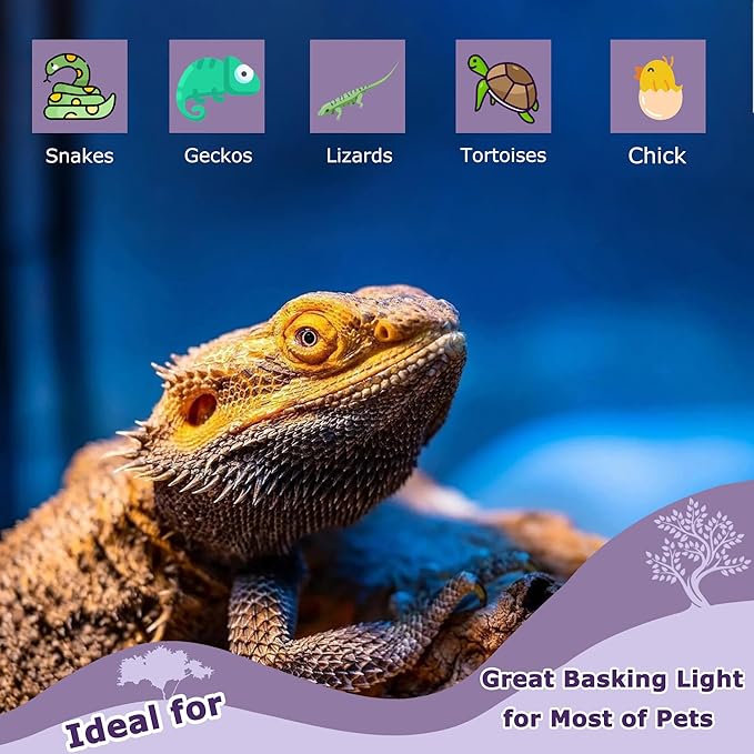 60W Reptile Night Light Bulb – Simulated Moonlight UVA Heat Lamp, Purple Basking Light for Bearded Dragons, Lizards, Snakes, Chameleons, Amphibians - 2-Pack (3.2" Diameter)