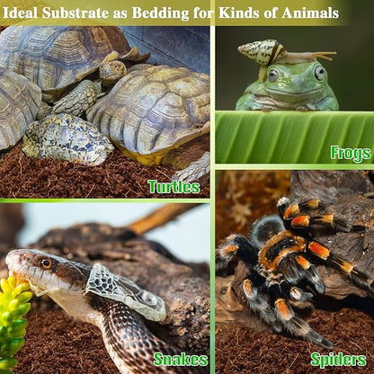 ZeeDix 6 Pack Coconut Fiber Substrate for Reptiles, 100% Organic Coco Coir Fiber Brick Reptile Substrate, Coconut Husk Terrarium Bedding for Reptiles, Bearded Dragon, Tortoise, Leopard Gecko, Snake