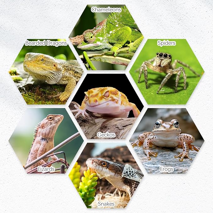 Tfwadmx 4 Pack Reptile Food Bowl, Mini Ceramic Water Feeder Bowl, Reptile Worm Feeding Dish for Lizard Turtle Bearded Dragon Anoles Crested Gecko Hermit Crab Leopard Gecko Chameleon Corn Snake