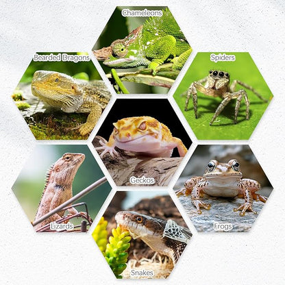 Tfwadmx 4 Pack Reptile Food Bowl, Mini Ceramic Water Feeder Bowl, Reptile Worm Feeding Dish for Lizard Turtle Bearded Dragon Anoles Crested Gecko Hermit Crab Leopard Gecko Chameleon Corn Snake