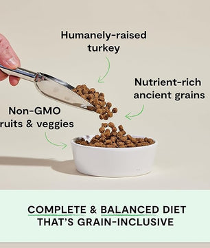 Open Farm, Ancient Grains Dry Dog Food, Protein-Rich & Nutrient Dense, 90% Animal Protein Mixed with Non-GMO Fruits, Veggies and Superfoods, Homestead Turkey Recipe, 4lb Bag