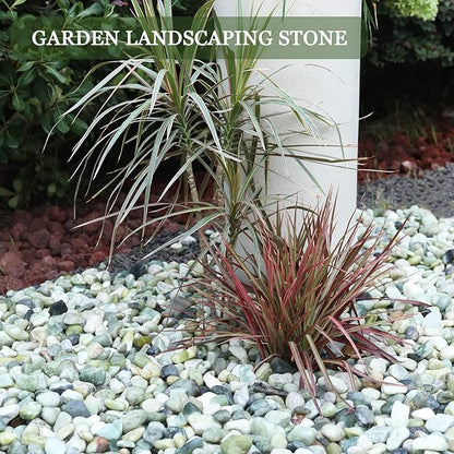 11lbs Natural River Rocks, Polished Pebbles for Plants Garden, 1-2 inch Decorative Jade Stones, Ideal for Fish Tank, Vases, Crafting, Home Decor and Garden Landscaping Rocks,Jade