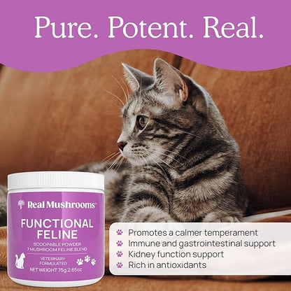 Real Mushrooms Cat Supplement Powder – Organic Mushroom Blend with Antarctic Krill & Ashwagandha – Cat Vitamins for Older Cats or Kittens – 2.65 oz Functional Feline Formula