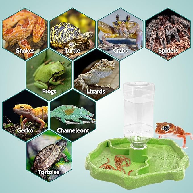 Tfwadmx 9oz 2-in-1 Reptile Water Bottle Turtle Automatic Feeders Waterer Food and Water Bowl pet Dispenser Bottle Feeding Dish for Lizard Chameleon(Green)