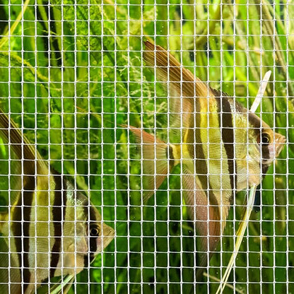 6.5 x 3.3 ft Clear Mesh Netting Aquarium Mesh DIY Fish Tank Net Transparent Fish Tank Lid Aquarium Top Cover Replacement