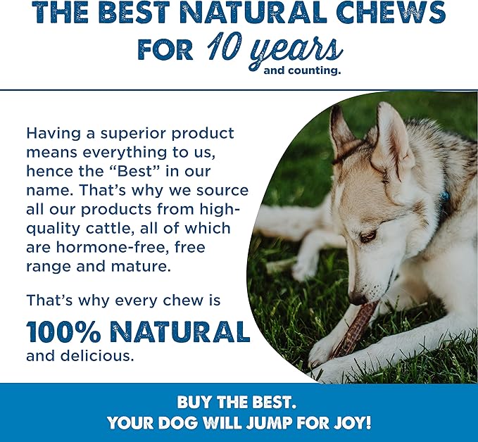 Best Bully Sticks 12 Inch Beef Jerky for Dogs - 12 Count (Pack of 1) - All-Natural, High-Protein Gullet, Rawhide Free, Chewy Treat